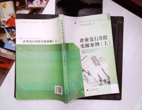 企业发行B股实操案例. 上