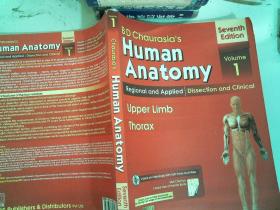 Human Anatomy 1