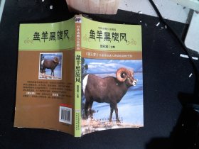 中外动物小说精品  盘羊黑旋风