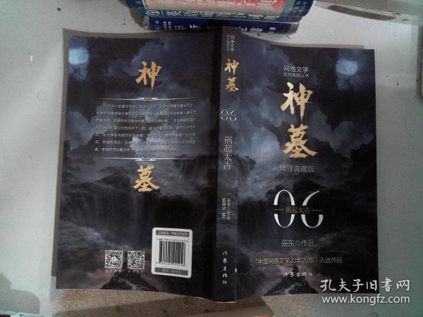 神墓6（精修典藏版）（辰东玄幻小说巅峰代表作“中国网络文学20年20部”入选作品）