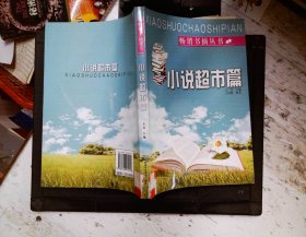 畅销书摘丛书：小说超市篇