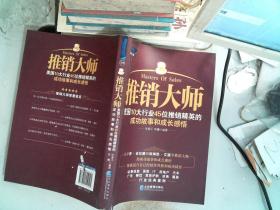 推销大师：美国10大行业45位推销精英的成功故事和成长感悟