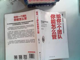 《给你一个团队，你能怎么管·百万册增订版》