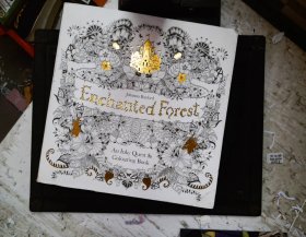 Enchanted Forest魔法森林 英文原版