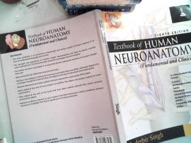 NEUROANATOMY