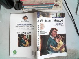 世界少年文学精选·名家导读本：童年·在人间·我的大学