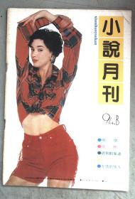 小说月刊 1994.8