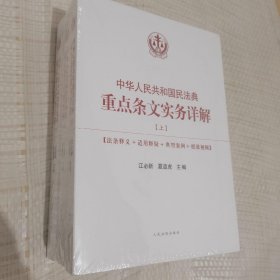 中华人民共和国民法典重点条文实务详解(全3册)