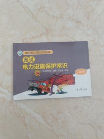 图说电力常识系列画册 图说电力设施保护常识（口袋书）