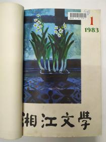 《湘江文学》1983年1-12期全年，缺第11期 。