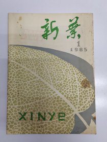 1985年商丘《新叶》创刊号