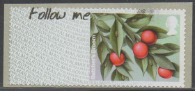 英国邮票，2021年ATM机邮票，冬季绿化植物假叶树、试机印样