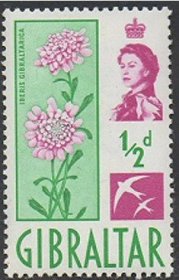 英联邦邮票，英属直布罗陀1960年伊丽莎白女王，屈曲花属植物
