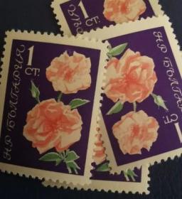 保加利亚邮票ZA5，1962年玫瑰花1s，植物花卉，一枚价