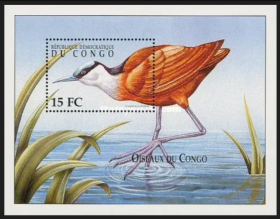 外国邮票，刚果2000年鸟类动物，水鸟，小型张