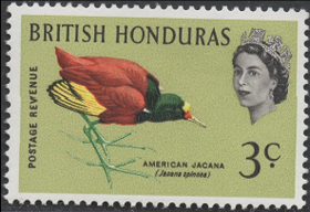 英联邦邮票，英属洪都拉斯1962年鸟类护美洲水雉，野生动物