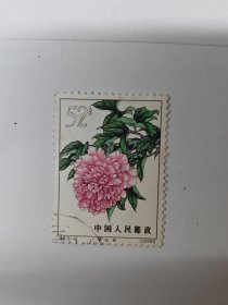 特61牡丹52分魏紫销票