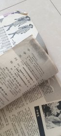 青年月刊1987.9期，47页。公告-自明年一月份起由本社自办发行（不再通过邮局收订）