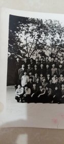 老照片1张，河北容中（容城中学）八五届85班留影，1988年5月5日。