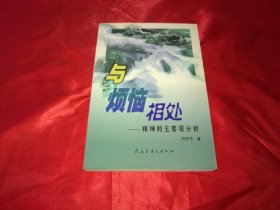 与烦恼相处：精神的主客观分析