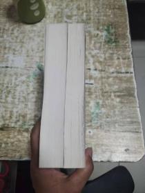 二程集（上下册）理学丛书 1.8公斤 书架9