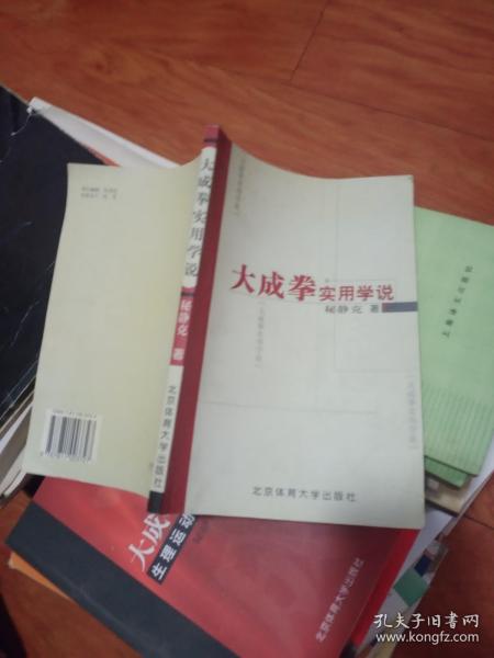 大成拳实用学说