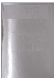 【正版现货】阿勒普联合设计事务所-当代世界建筑经典精选