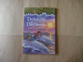 Dolphins At Daybreak