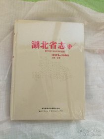 湖北省志 1979-2000 第33册 卫生 体育 【全新、未开封】