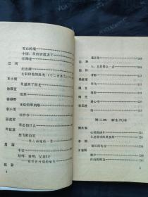 1988年1版1印《朦胧诗 · 新生代诗百首点评》李丽中 南开大学出版社