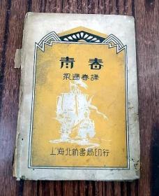 青春 上海北新书局 民国小说 1931年