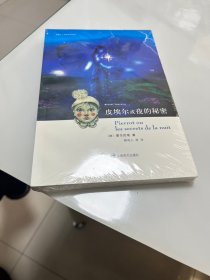 皮埃尔或夜的秘密（法国二十世纪文学译丛）