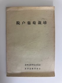 院户葡萄栽培