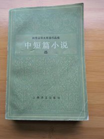 陀思妥耶夫斯基作品集中短篇小说（二）（涅朵琦卡等4篇）