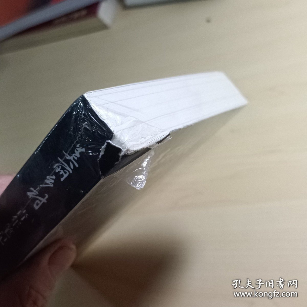 美丽乡村青年笔记（一生至美书系）