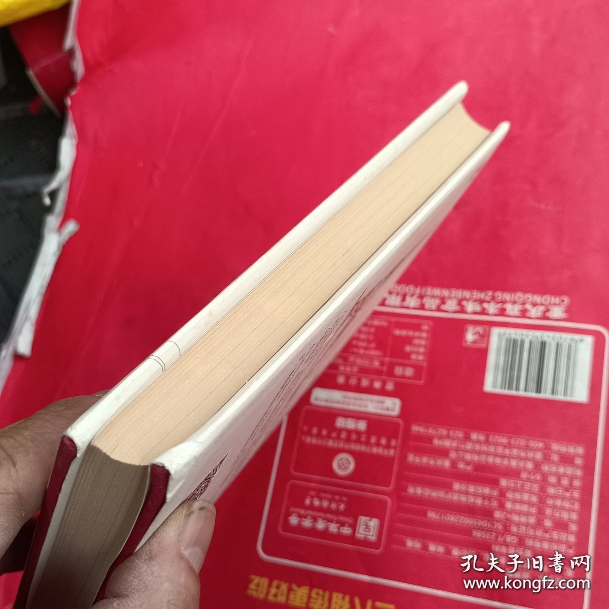 我遇到的“怪”建筑：与勒·柯布西耶的跨时空建筑之旅