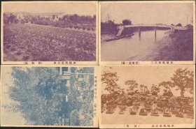 老明信片上海浦东花木公司十片
