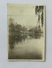 老照片19