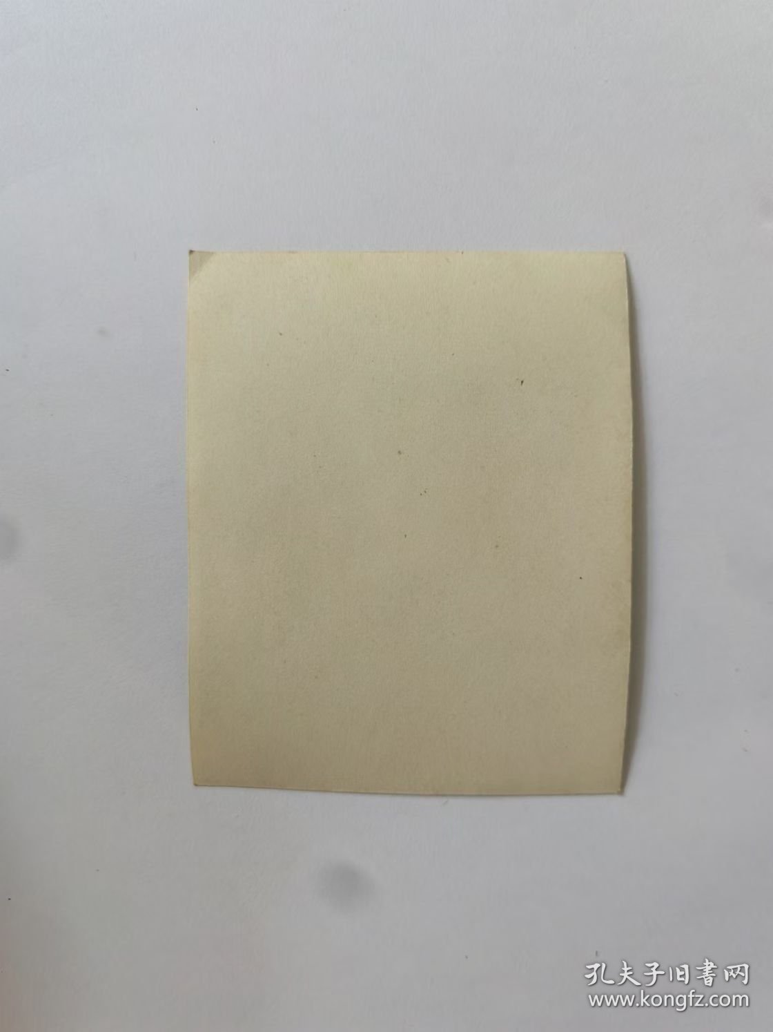 老照片33