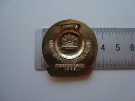 (像章9706)沈阳市革命委员会(天安门图案)-遵义9