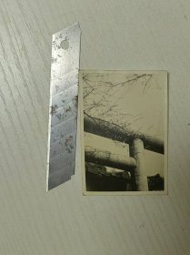 老照片160