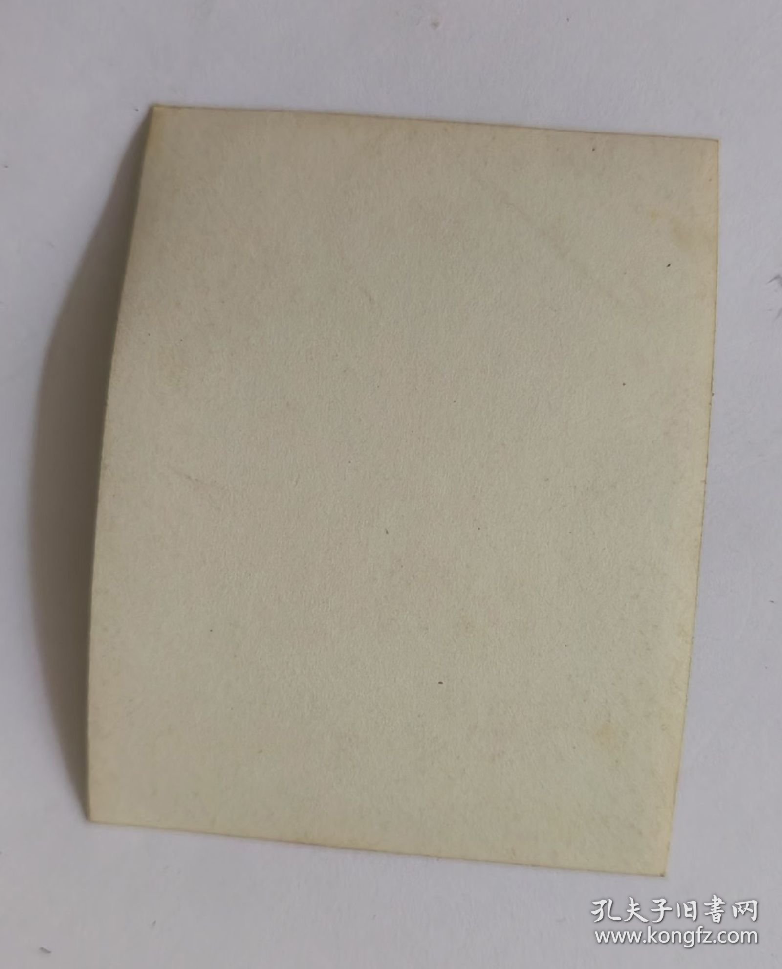 老照片14