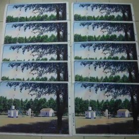 40X57厘米-采油10张400元