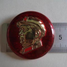(像章6711)毛主席塑料像章95品