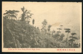 民国商务版杭州北高峰之松林。