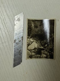 老照片162