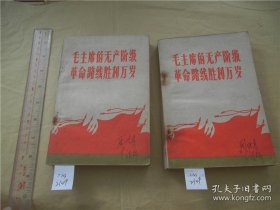 旧绝老版书籍毛主席无产阶级路线胜利万岁2册一套后封破损1969年