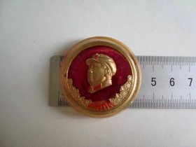 (像章6012)有机玻璃塑料像章9品