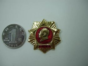 浙江金华大中学校革命造反总部,派性小章