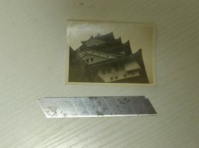 老照片146
